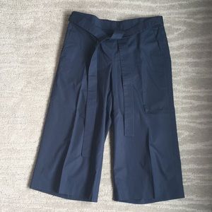 J Crew paper bag waist pants size 10